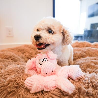 Show full view: SteelDog USA Barnyard Buddy Piggy Crinkle Plush Dog Toy slide 2 of 5