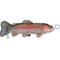 Show in main carousel: SteelDog USA Denim Rainbow Trout Crinkle Plush Dog Toy slide 1 of 5
