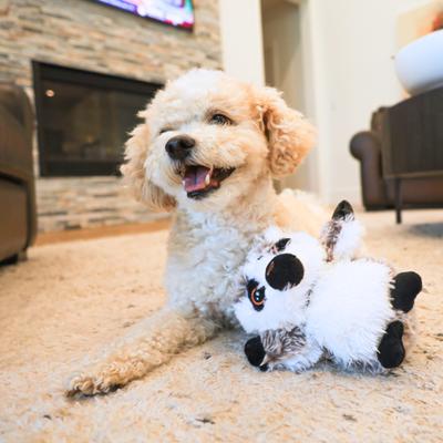 Show full view: SteelDog USA Big Eyed Lemur Crinkle Plush Dog Toy slide 4 of 7