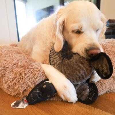 Show full view: SteelDog USA Ruffian Bird Goose Plush Dog Toy slide 5 of 6