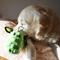 Show in main carousel: SteelDog USA Flat Bumpy Gator Plush Dog Toy slide 2 of 7