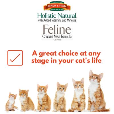 Show full view: Bench & Field Holistic Natural Formula Dry Cat Food, 3-lb bag slide 4 of 10