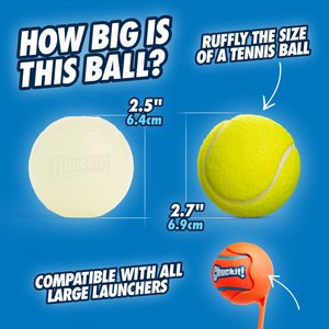 Chuckit! Max Glow Ball Dog Toy, Medium, 2 count