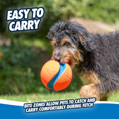 Show full view: Chuckit! Kick Fetch Ball Dog Toy, Large slide 3 of 9