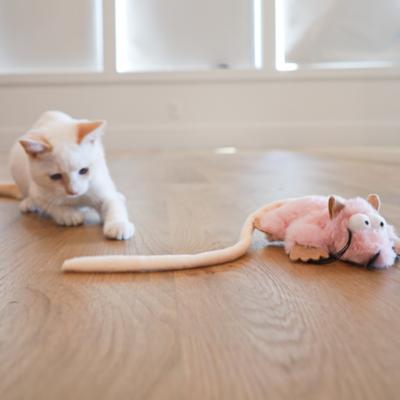 Show full view: SteelDog USA Combo Critter Plush Cat Toy with Catnip Pouch, Pink slide 3 of 7