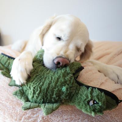 Show full view: SteelDog USA Ruffiandino Stegosaurus Plush Dog Toy slide 4 of 5