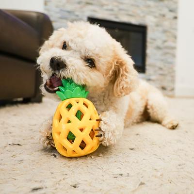 Show full view: SteelDog USA Slow Treater Pineapple Treat Dispenser Dog Toy slide 5 of 8