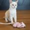 Show in main carousel: SteelDog USA Combo Critter Plush Cat Toy with Catnip Pouch, Pink slide 2 of 7
