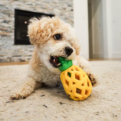Show full view: SteelDog USA Slow Treater Pineapple Treat Dispenser Dog Toy slide 3 of 8