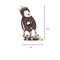 Show in main carousel: SteelDog USA Flat Tugger Bear Stuffing-Free Tug Dog Toy slide 4 of 8