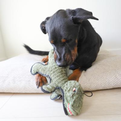 Show full view: SteelDog USA Ruffian Dino T-Rex Plush Dog Toy slide 4 of 6