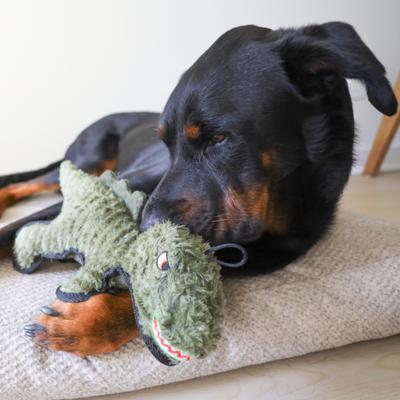 Show full view: SteelDog USA Ruffian Dino T-Rex Plush Dog Toy slide 5 of 6