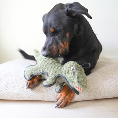 Show full view: SteelDog USA Ruffian Dino T-Rex Plush Dog Toy slide 2 of 6