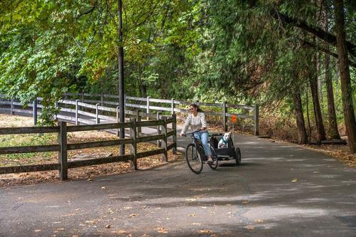 Show full view: Burley Tail Wagon Dog Bicycle Trailer, Fern Green slide 8 of 9