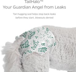 Pet Parents DiPees Disposable Male & Female Dog Diapers & Extendrs, Daisy, Medium, 30 count slide 2 of 9