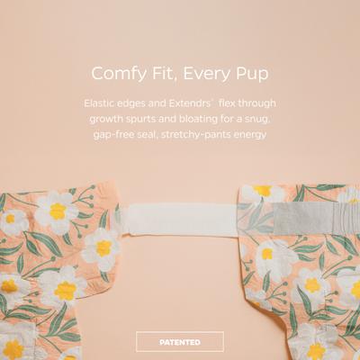 Show full view: Pet Parents DiPees Disposable Male & Female Dog Diapers & Extendrs, Daisy, Small, 10 count slide 5 of 10