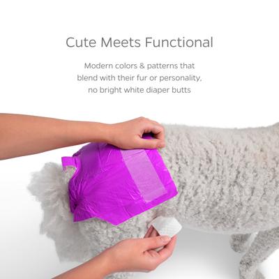 Show full view: Pet Parents DiPees Disposable Male & Female Dog Diapers & Extendrs, Daisy, Small, 10 count slide 8 of 10
