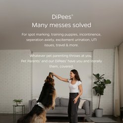 Pet Parents DiPees Belly Band Diapers & Disposable Male Dog Wraps & Extendrs, Natural, Large, 20 count slide 2 of 9