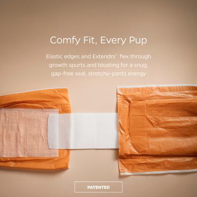 Show full view: Pet Parents DiPees Belly Band Diapers & Disposable Male Dog Wraps & Extendrs, Natural, Small, 30 count slide 4 of 10