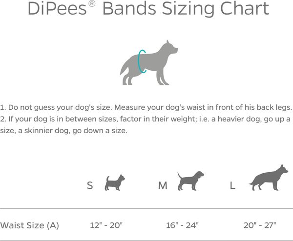 Show full view: Pet Parents DiPees Belly Band Diapers & Disposable Male Dog Wraps & Extenders, Natural, Small, 30 count slide 9 of 9