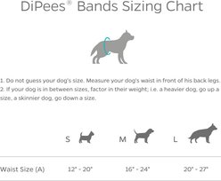 Pet Parents DiPees Belly Band Diapers & Disposable Male Dog Wraps & Extendrs, Grey, Medium, 10 count slide 2 of 9