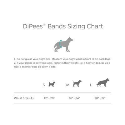 Show full view: Pet Parents DiPees Belly Band Diapers & Disposable Male Dog Wraps & Extendrs, Grey, Small, 10 count slide 9 of 10