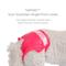 Show in main carousel: Pet Parents DiPees Disposable Male & Female Dog Diapers & Extendrs, Pink, Small, 10 count slide 5 of 10
