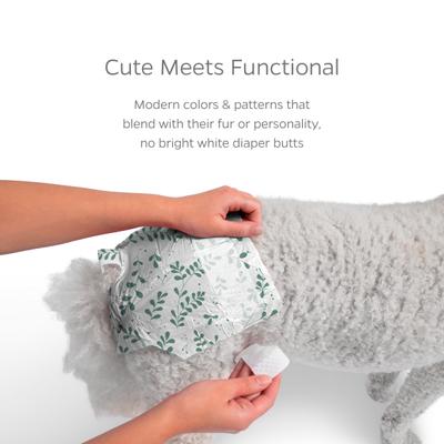 Show full view: Pet Parents DiPees Disposable Male & Female Dog Diapers & Extendrs, Princess, Large, 20 count slide 7 of 10