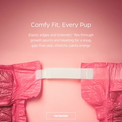 Pet Parents DiPees Disposable Male & Female Dog Diapers & Extendrs, Princess, Small, 30 count slide 2 of 9