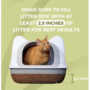 PACO & PEPPER Poop Shield Charcoal Natural Unscented Clumping Cat Litter, 11.5-lb bag