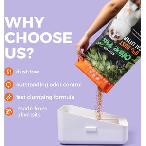 PACO & PEPPER Poop Shield Charcoal Natural Unscented Clumping Cat Litter, 11.5-lb bag