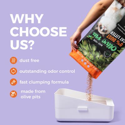 Show full view: PACO & PEPPER Poop Shield Charcoal Natural Unscented Clumping Cat Litter, 25-lb bag slide 6 of 9