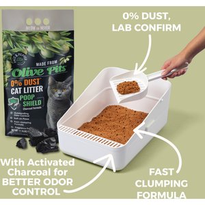 PACO & PEPPER Poop Shield Charcoal Natural Unscented Clumping Cat Litter, 11.5-lb bag