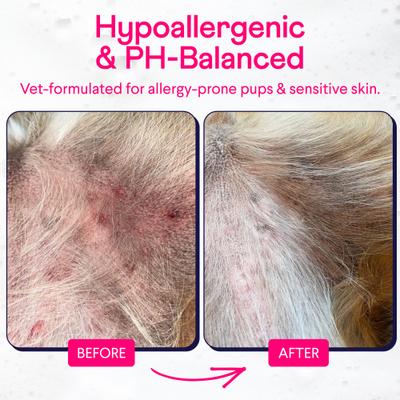 Show full view: Finn Fur Hero Soothing Oatmeal Dog Shampoo, 12-fl oz bottle slide 5 of 9