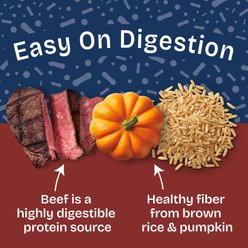 Natural Balance Health Protection Beef, Pumpkin & Brown Rice Stew Wet Dog Food, 12.5-oz can, case of 6 slide 2 of 9