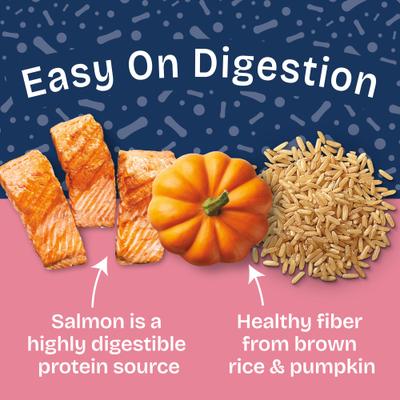 Show full view: Natural Balance Health Protection Salmon Broth, Salmon, Pumpkin & Brown Rice Stew Wet Dog Food, 12.5-oz can, case of 6 slide 7 of 11