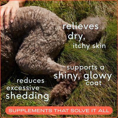 Show full view: Native Pet Omega-3 Fish Oil & Alaskan Salmon Oil Skin & Coat Health Supplement for Dogs, 3-fl oz bottle slide 4 of 10