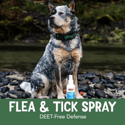 Show full view: NOW Pets Health Flea & Tick Spray for Dogs, 8-fl oz bottle slide 4 of 8