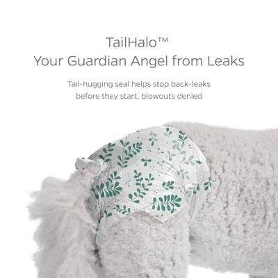 Show full view: Pet Parents DiPees Disposable Male & Female Dog Diapers & Extendrs, Daisy, Small, 10 count slide 6 of 10