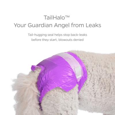 Pet Parents DiPees Disposable Male & Female Dog Diapers & Extendrs