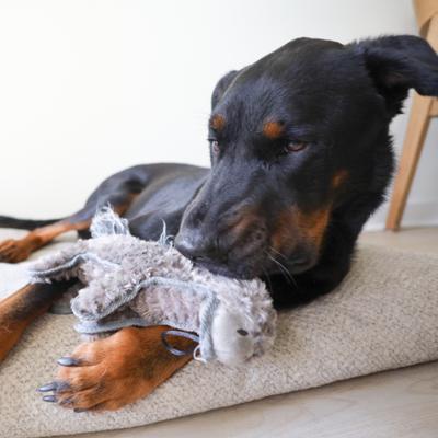 Show full view: SteelDog USA Ruffian Hoofer Donkey Plush Dog Toy slide 5 of 7