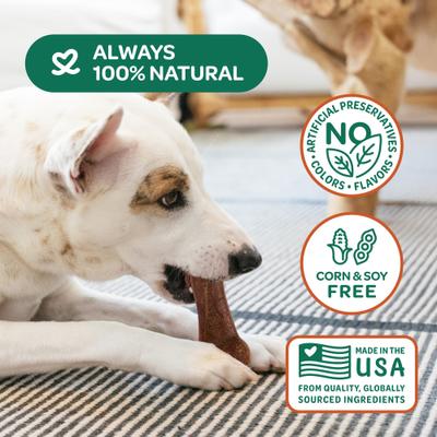 Show full view: Wholesome Pride Pet Treats Natural & Healthy Sweet Potato Chew Dog Treat, Medium, 2 count slide 5 of 11