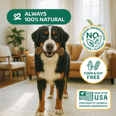 Show full view: Wholesome Pride Pet Treats Natural & Healthy Pumpkin Chew Dog Treat, Large, 2 count slide 5 of 10