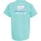 Show in main carousel: BUDDY BY THE LAKE Fish Tales Youth Short Sleeve Tee Shirt, Mint, Small slide 1 of 2