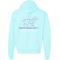 Show in main carousel: BUDDY BY THE SEA Treasure Island Unisex Full Zip Hoodie Sweatshirt, Minty, Small slide 1 of 2
