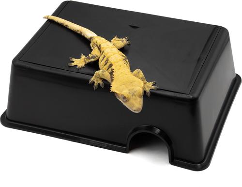 Show full view: Pangea Humidity Hide Box, Black, Medium slide 4 of 4