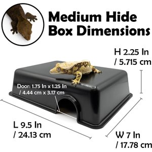 Pangea Reptile Hide Box, Black, Medium