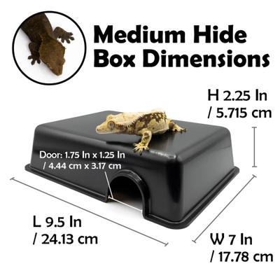 Show full view: Pangea Reptile Hide Box, Black, Medium slide 2 of 3