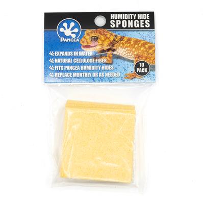 Show full view: Pangea Humidity Hide Box Sponges, 10 count slide 2 of 4