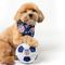 Show in main carousel: Floofball ChewSA Plush Soccer Ball Dog Toy, Blue, 4.5-in slide 3 of 7